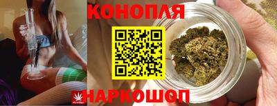 шишки Нижний Тагил