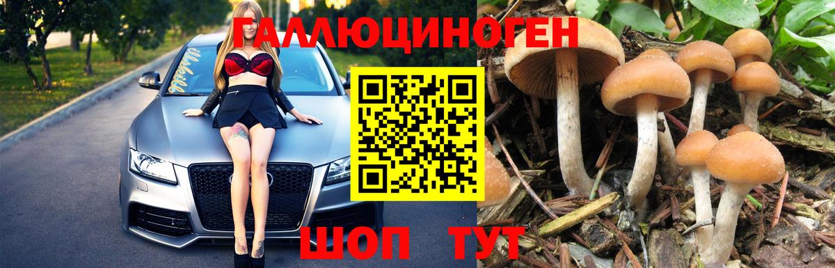 Галлюциногенные грибы Psilocybine cubensis Аша